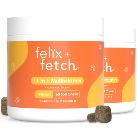 11-in-1 Multivitamin Chews (2 Jars) - Subscription