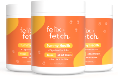 Tummy Health Chews (3 Jars) - Subscription